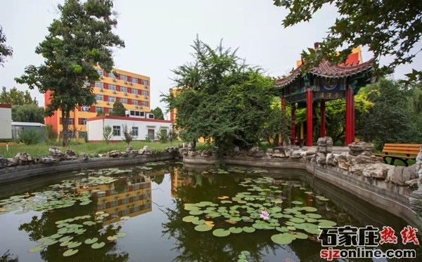 石家莊新希望職業(yè)中專學(xué)校