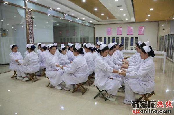 石家莊天使護(hù)士學(xué)校